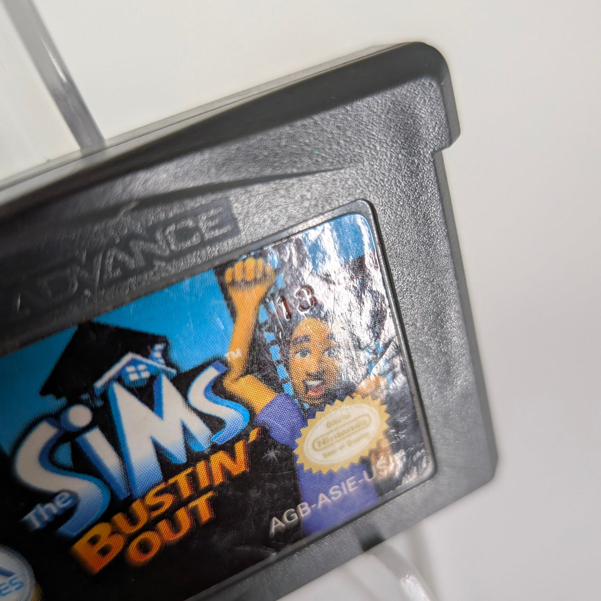 The Sims Bustin' Out