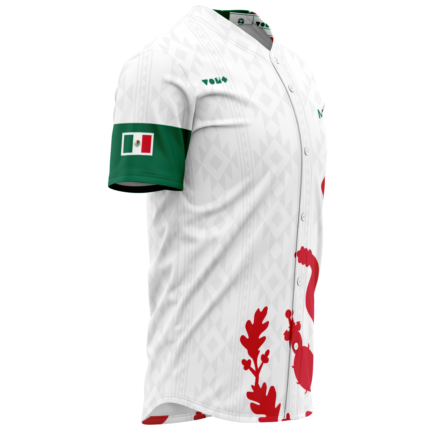 Mexico Gamer Jersey